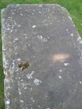 image of grave number 500376